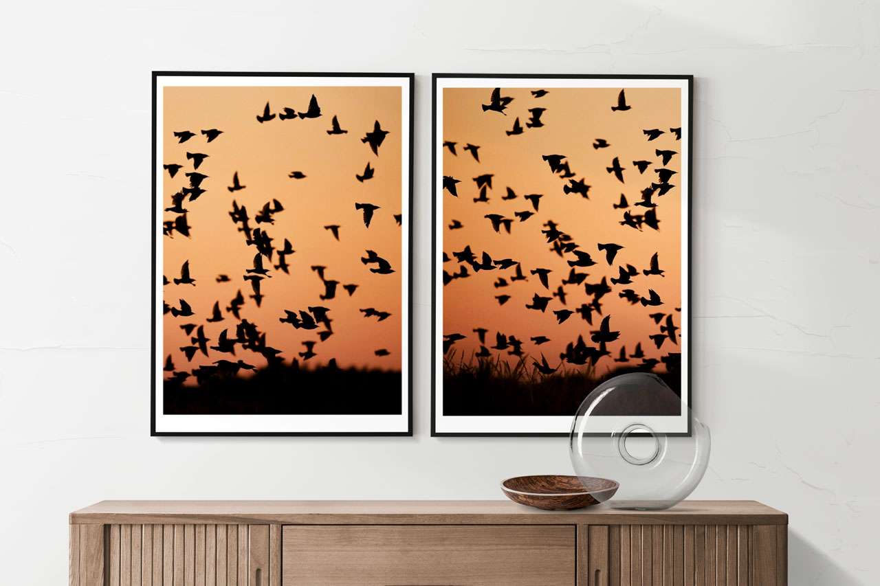 A fine art photography print titled "The Sky Hides in Every Experience," featuring a dynamic flock of birds silhouetted against a warm-toned sky.