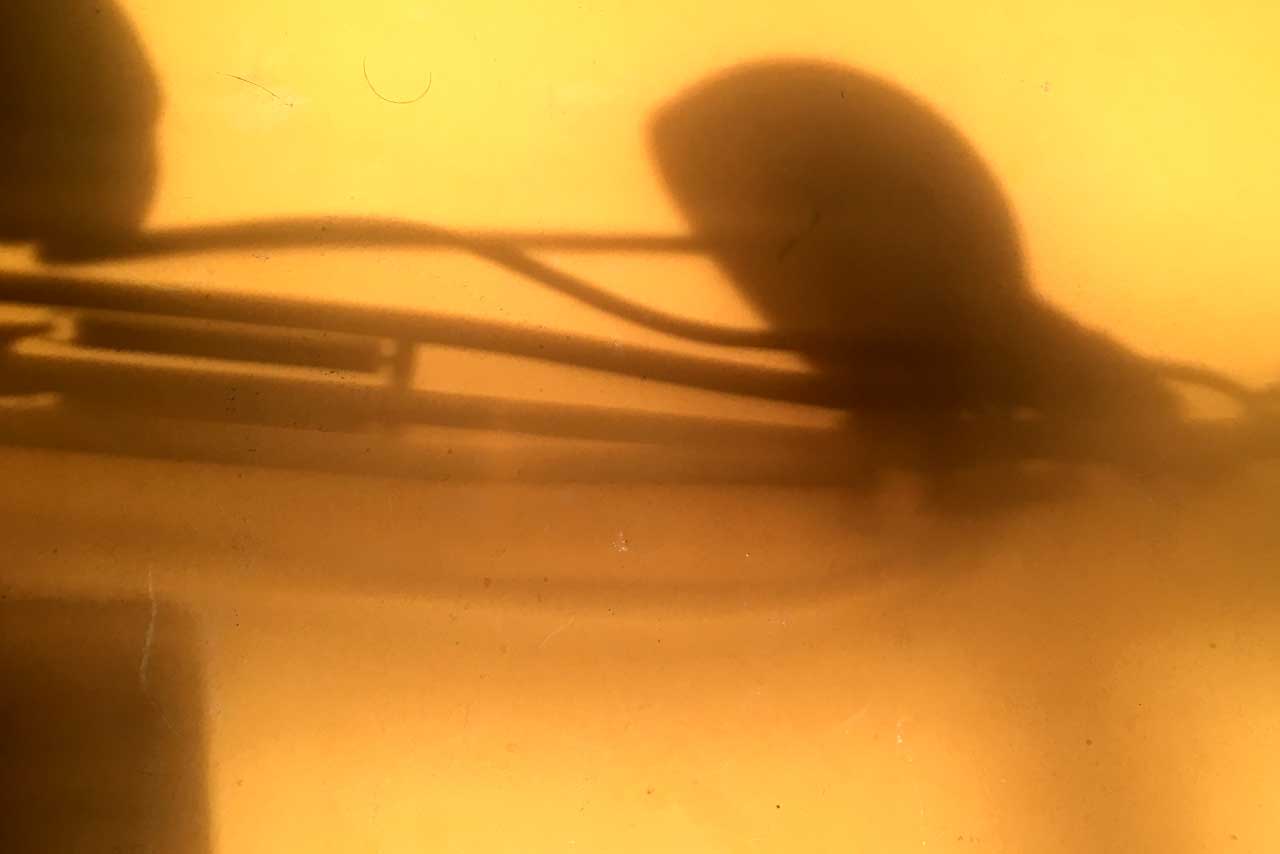 unscharfe schatten im warmen licht, abstrahierte formen