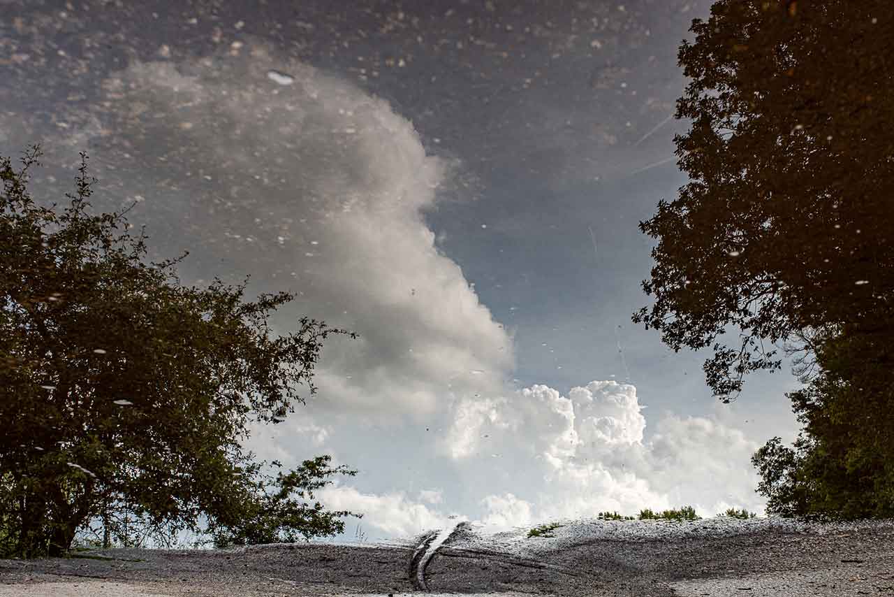 spiegelung von himmel und bäumen in einer pfütze, mit spuren im kies